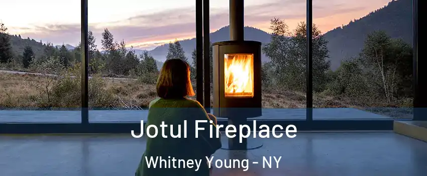 Jotul Fireplace Whitney Young - NY