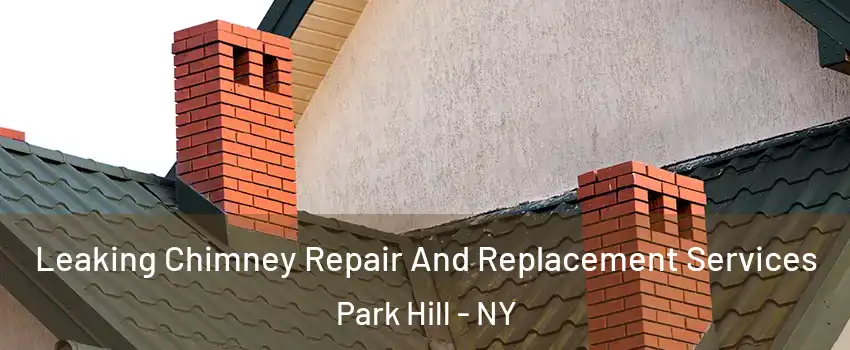 Leaking Chimney Repair And Replacement Services Park Hill - NY