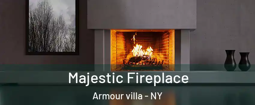 Majestic Fireplace Armour villa - NY