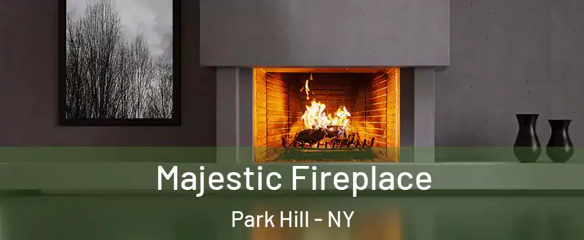 Majestic Fireplace Park Hill - NY
