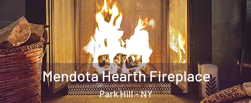 Mendota Hearth Fireplace Park Hill - NY