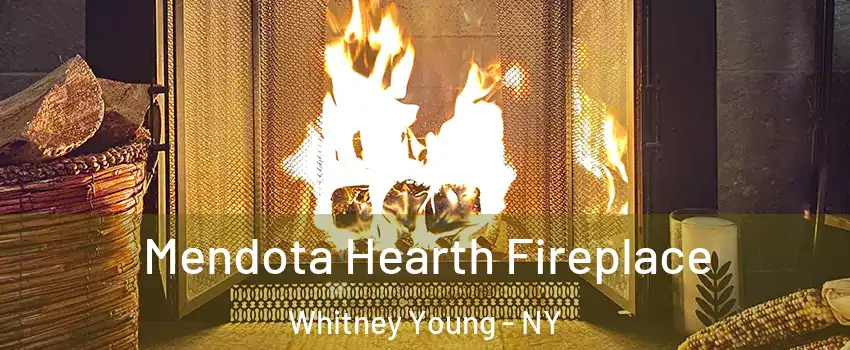 Mendota Hearth Fireplace Whitney Young - NY