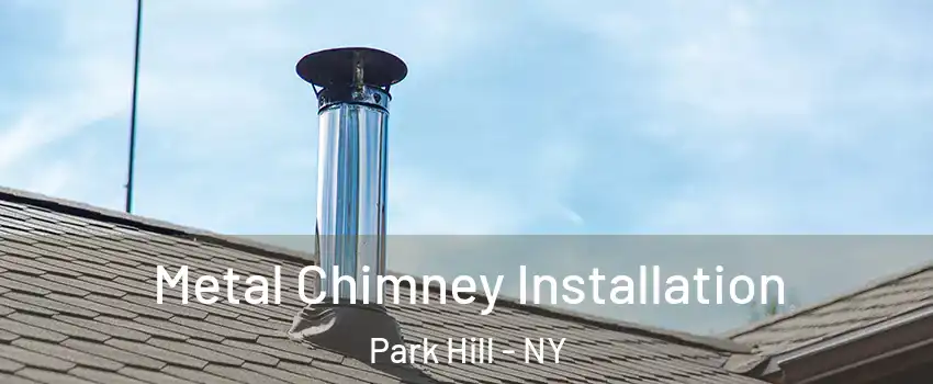 Metal Chimney Installation Park Hill - NY