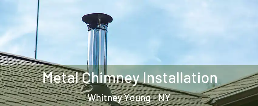 Metal Chimney Installation Whitney Young - NY