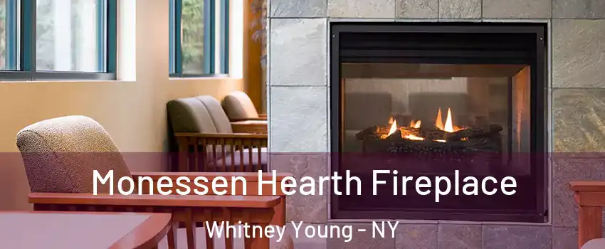 Monessen Hearth Fireplace Whitney Young - NY