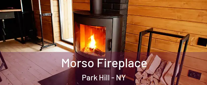Morso Fireplace Park Hill - NY