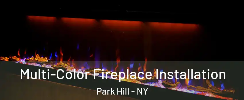 Multi-Color Fireplace Installation Park Hill - NY