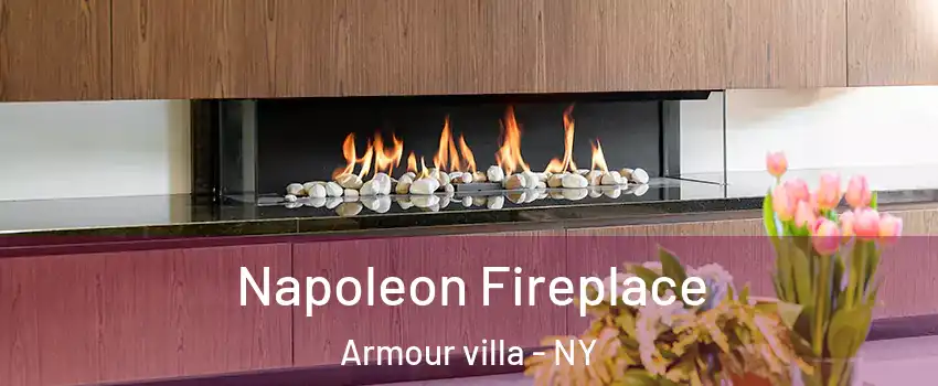 Napoleon Fireplace Armour villa - NY