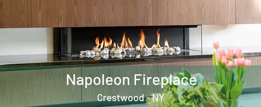Napoleon Fireplace Crestwood - NY