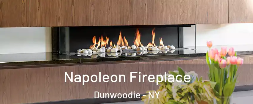 Napoleon Fireplace Dunwoodie - NY