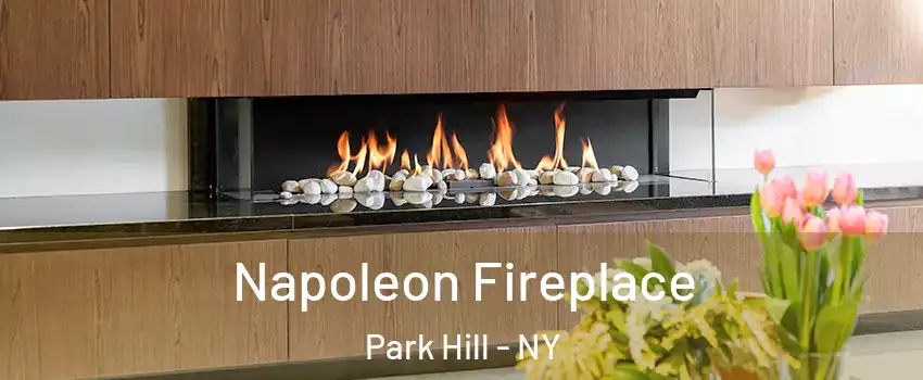 Napoleon Fireplace Park Hill - NY