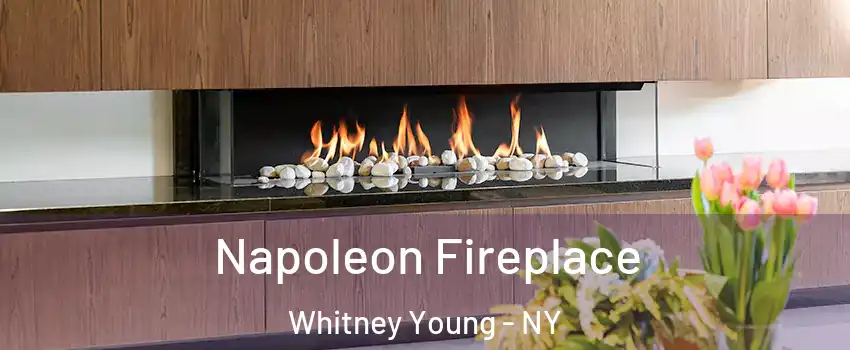 Napoleon Fireplace Whitney Young - NY