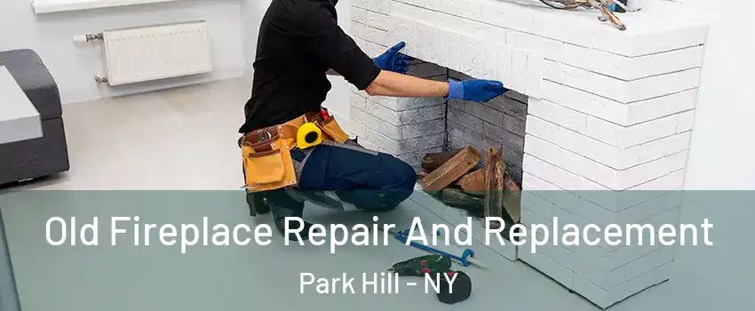 Old Fireplace Repair And Replacement Park Hill - NY