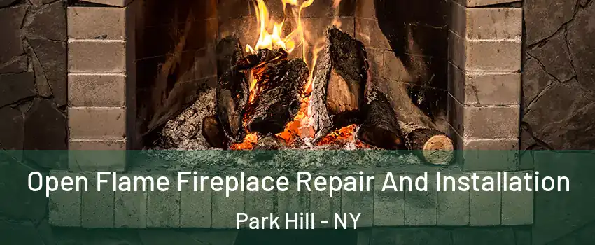 Open Flame Fireplace Repair And Installation Park Hill - NY