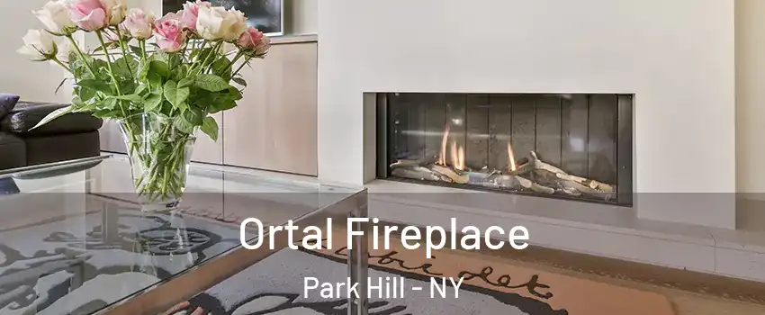 Ortal Fireplace Park Hill - NY