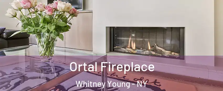 Ortal Fireplace Whitney Young - NY