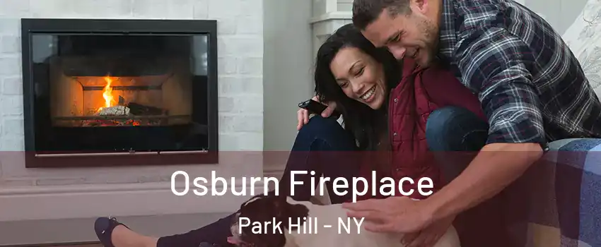Osburn Fireplace Park Hill - NY