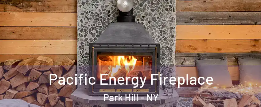 Pacific Energy Fireplace Park Hill - NY