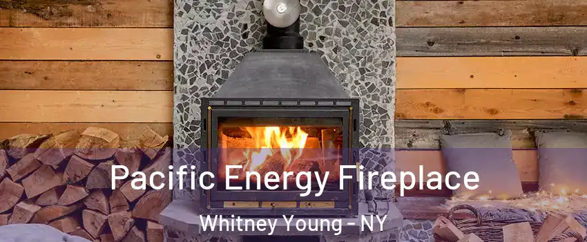 Pacific Energy Fireplace Whitney Young - NY