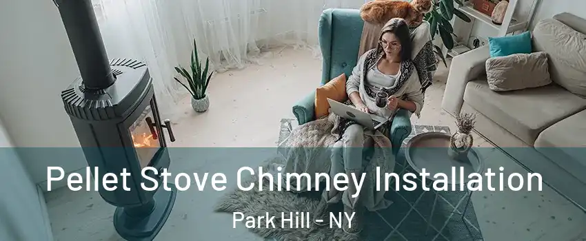 Pellet Stove Chimney Installation Park Hill - NY