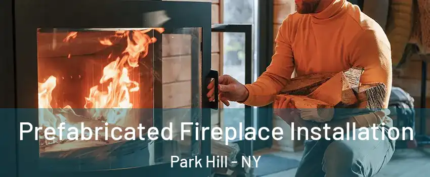 Prefabricated Fireplace Installation Park Hill - NY