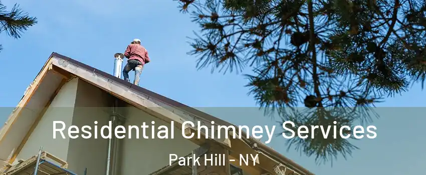 Residential Chimney Services Park Hill - NY