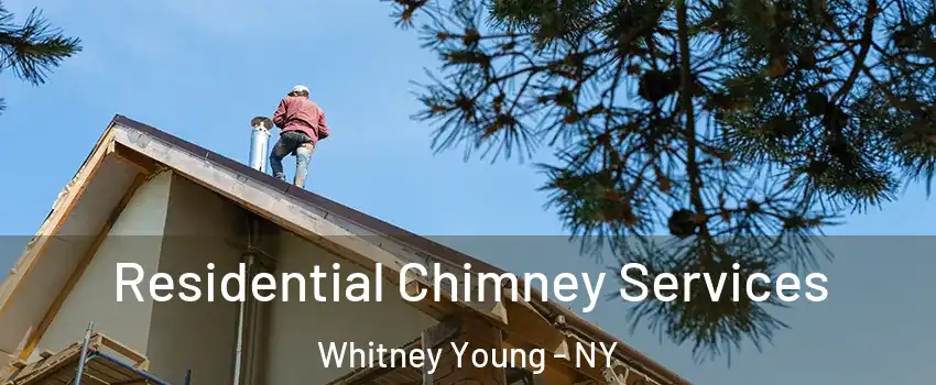 Residential Chimney Services Whitney Young - NY
