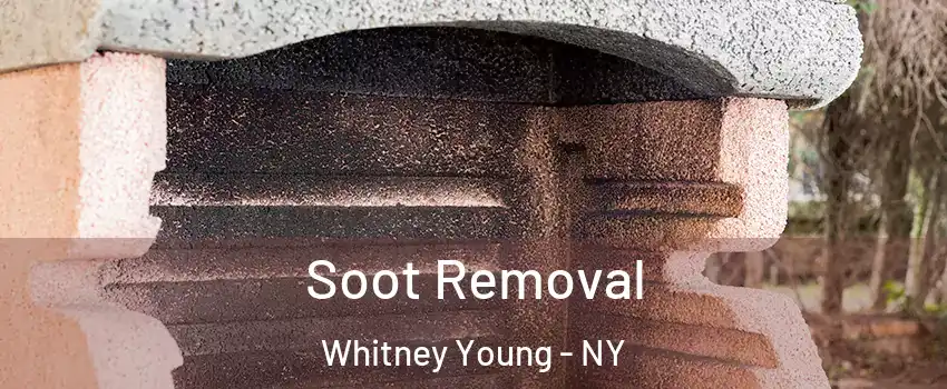 Soot Removal Whitney Young - NY