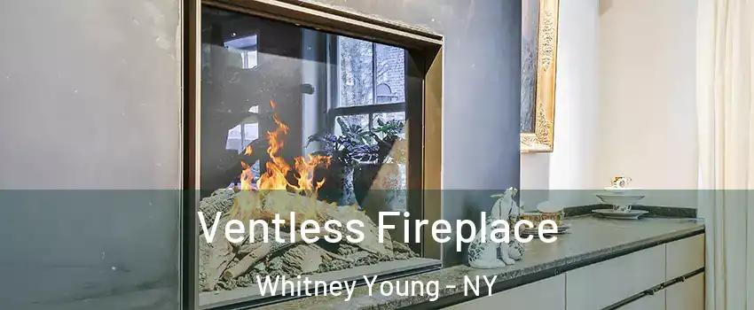 Ventless Fireplace Whitney Young - NY