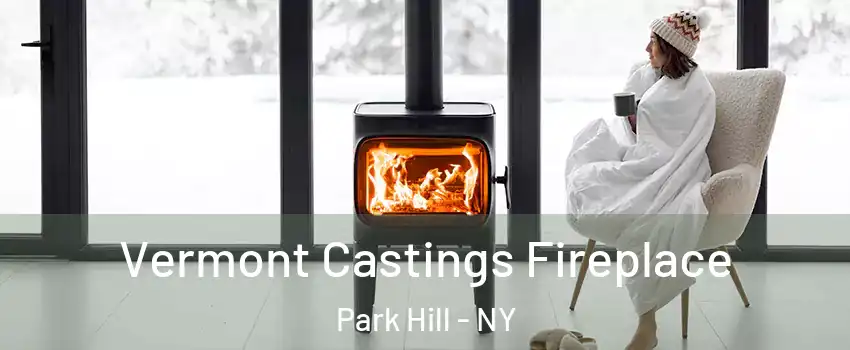 Vermont Castings Fireplace Park Hill - NY