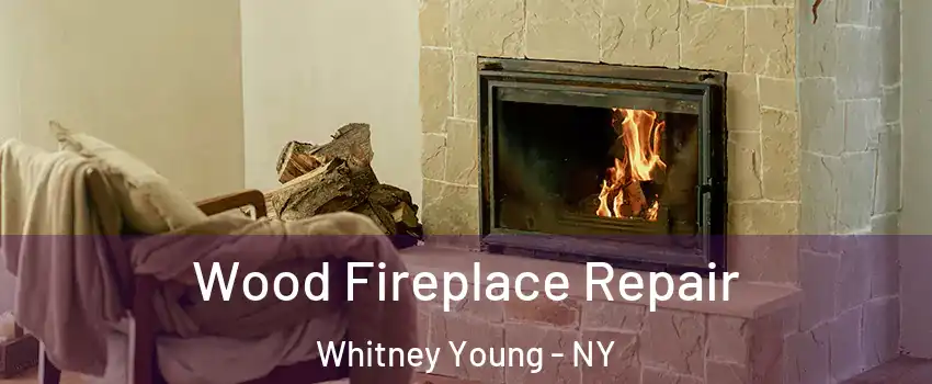 Wood Fireplace Repair Whitney Young - NY