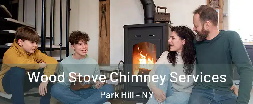 Wood Stove Chimney Services Park Hill - NY