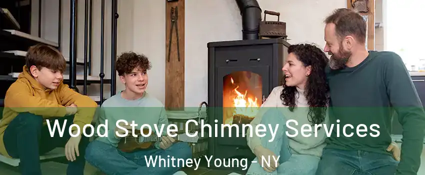 Wood Stove Chimney Services Whitney Young - NY