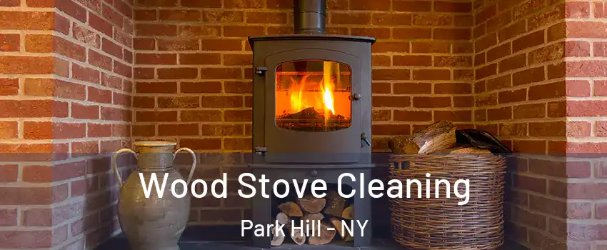 Wood Stove Cleaning Park Hill - NY