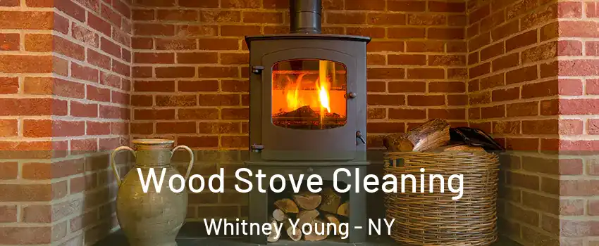 Wood Stove Cleaning Whitney Young - NY