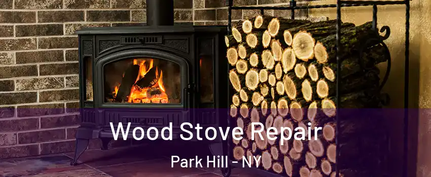 Wood Stove Repair Park Hill - NY
