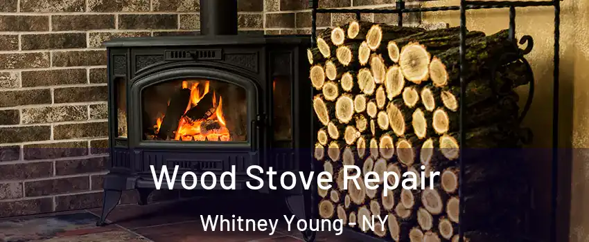 Wood Stove Repair Whitney Young - NY
